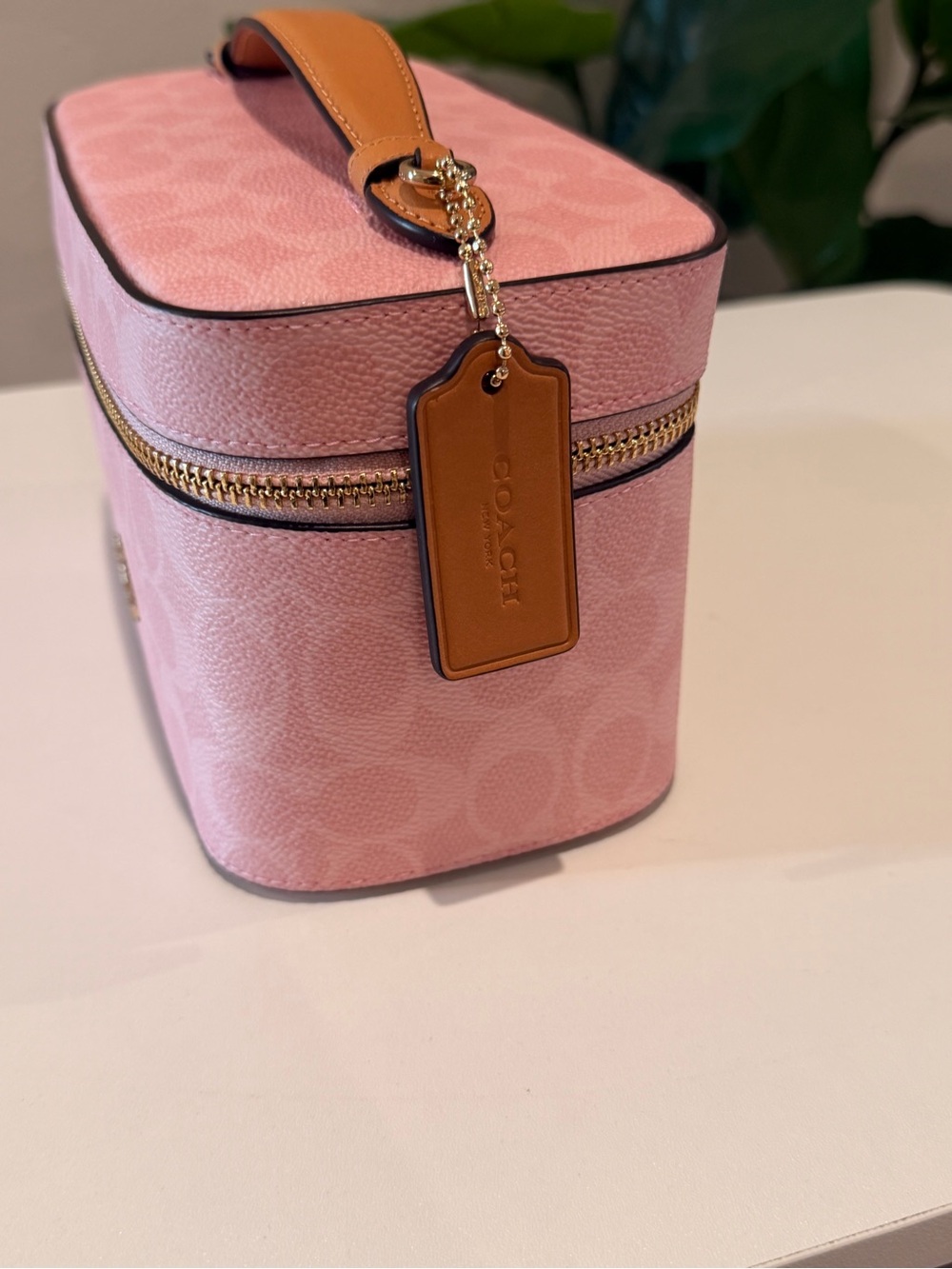COACH Powder Pink Vanity Case BNWT - Picture 2 of 10